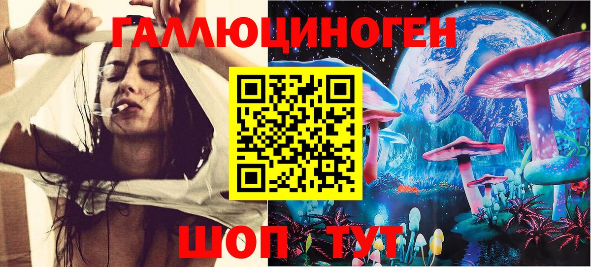 Псилоцибиновые грибы Psilocybe Новоуральск