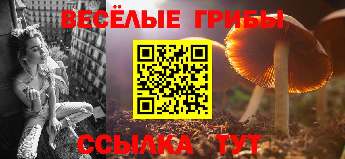 Новоуральск  Псилоцибиновые грибы Magic Shrooms  Вход с VPN 